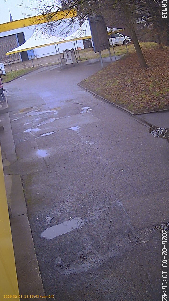 thumbnail_20260203133643