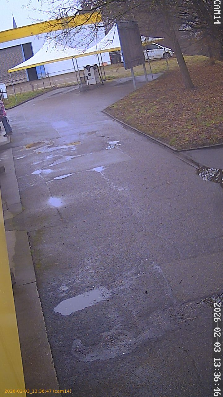 thumbnail_20260203133647