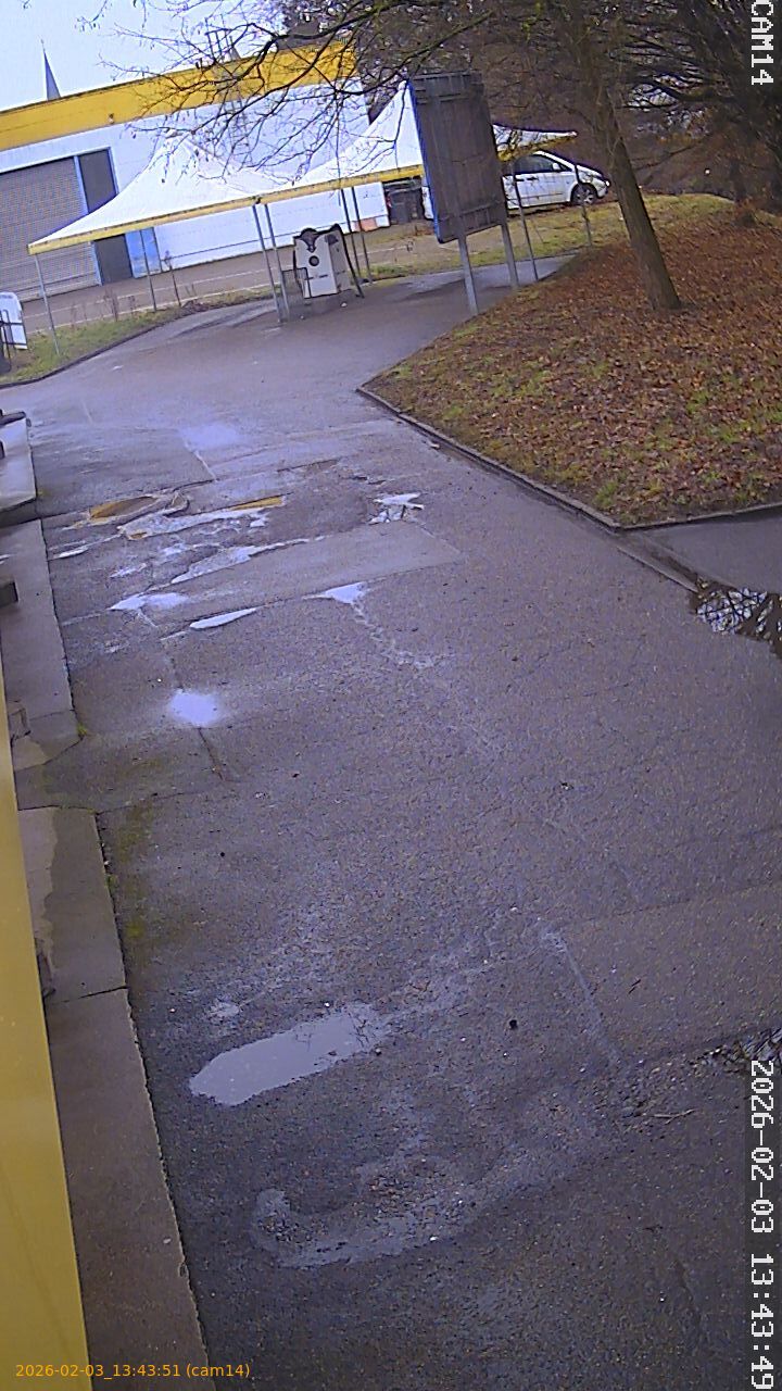 thumbnail_20260203134351