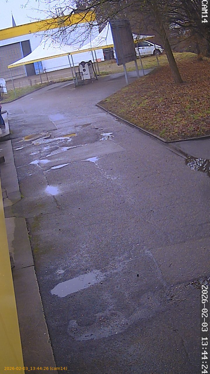 thumbnail_20260203134425