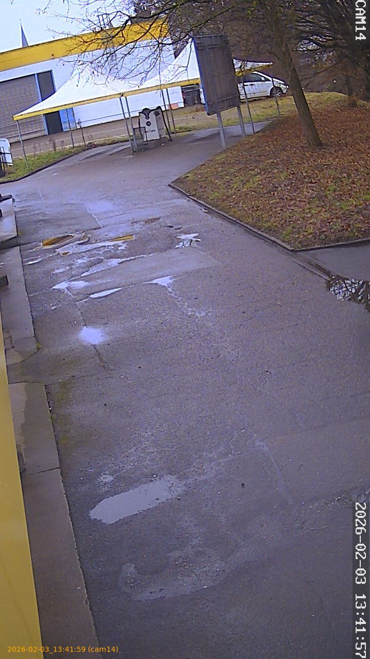 thumbnail_202602031341