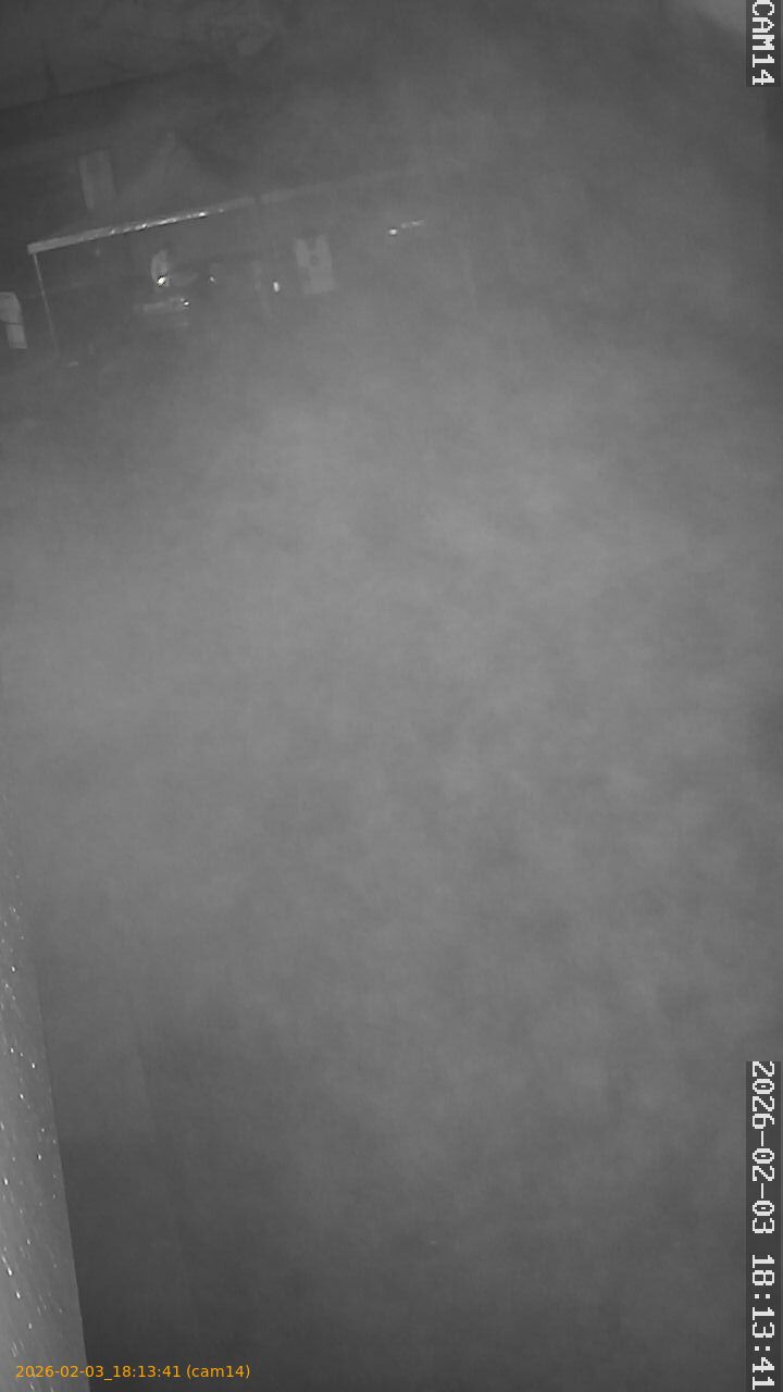 thumbnail_20260203181341