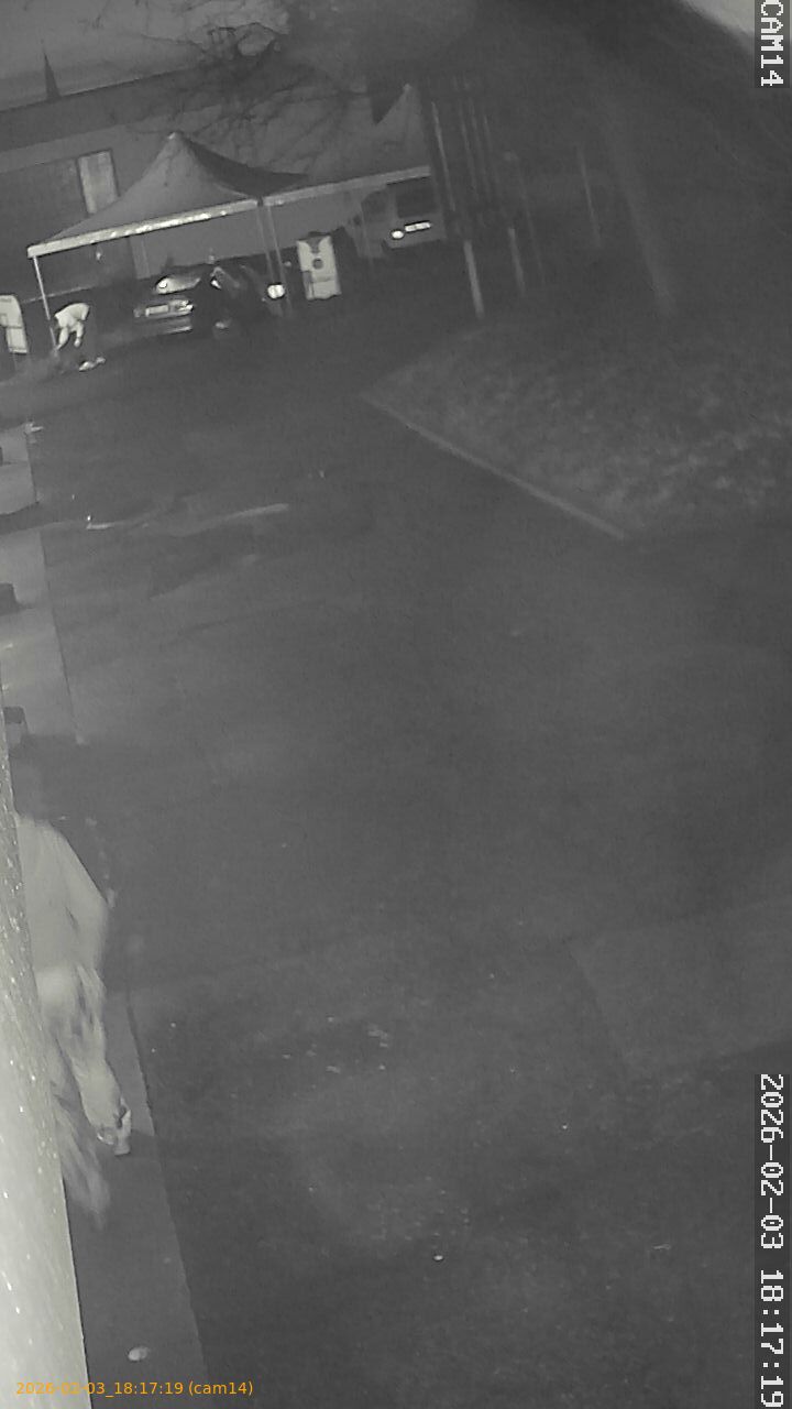 thumbnail_20260203181719