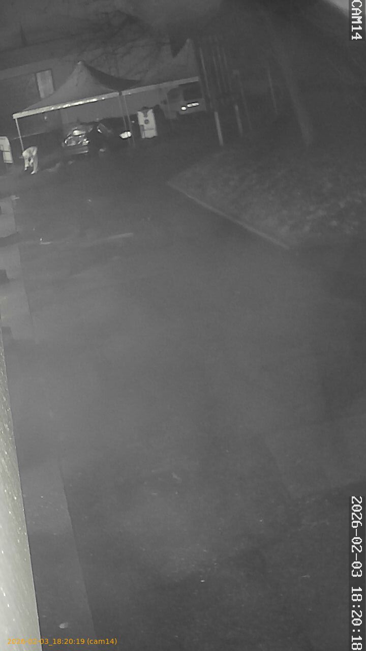 thumbnail_20260203182019