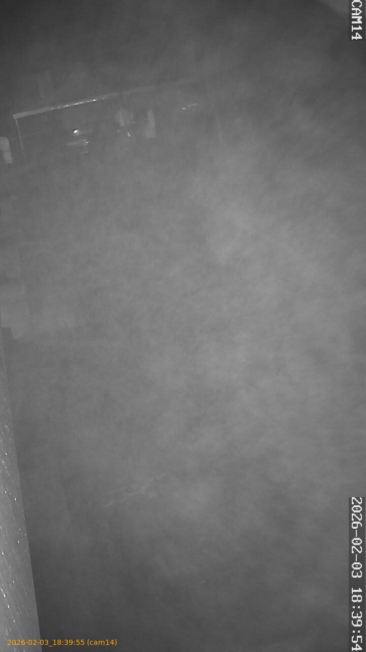 thumbnail_20260203183955