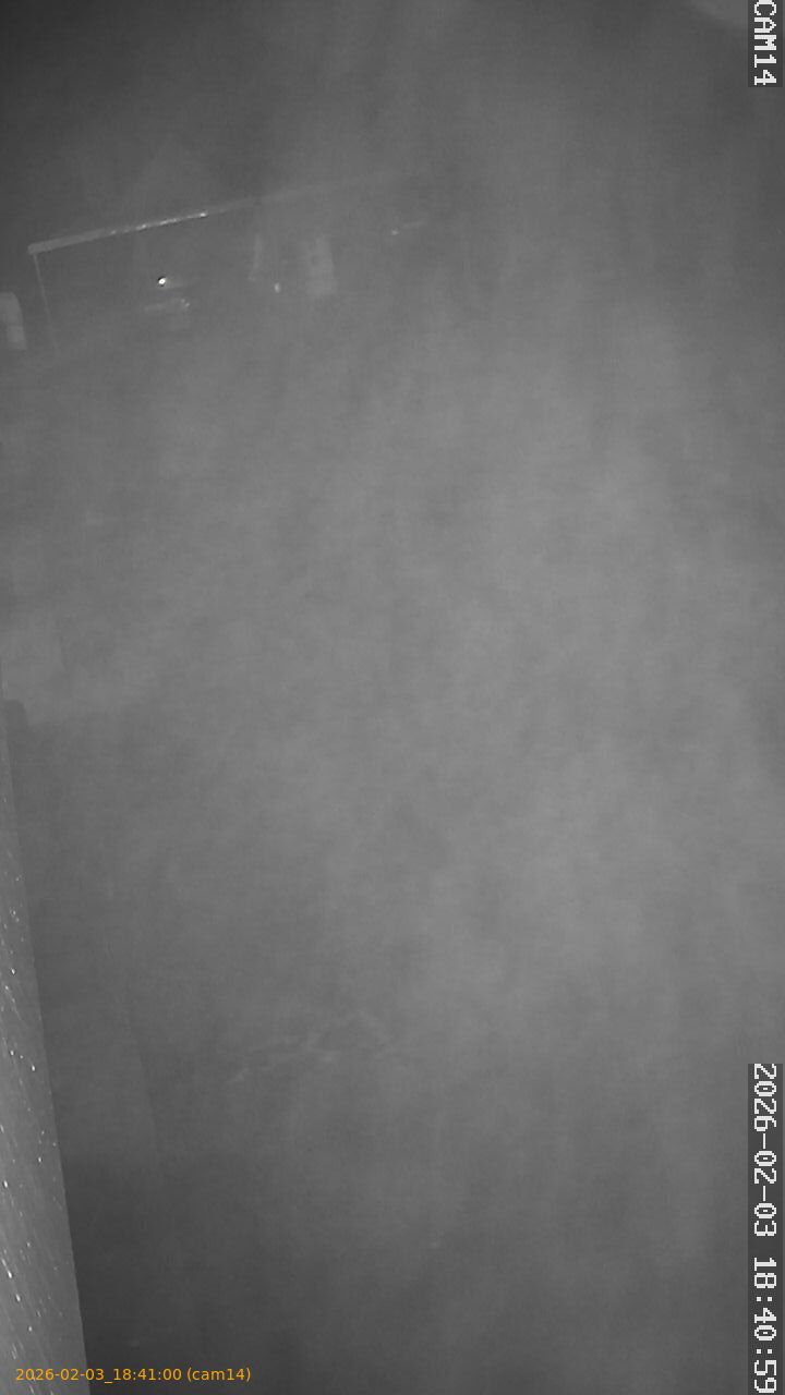 thumbnail_20260203184100