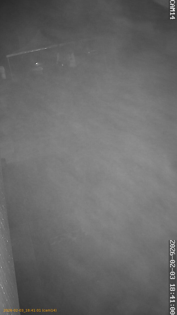 thumbnail_20260203184101