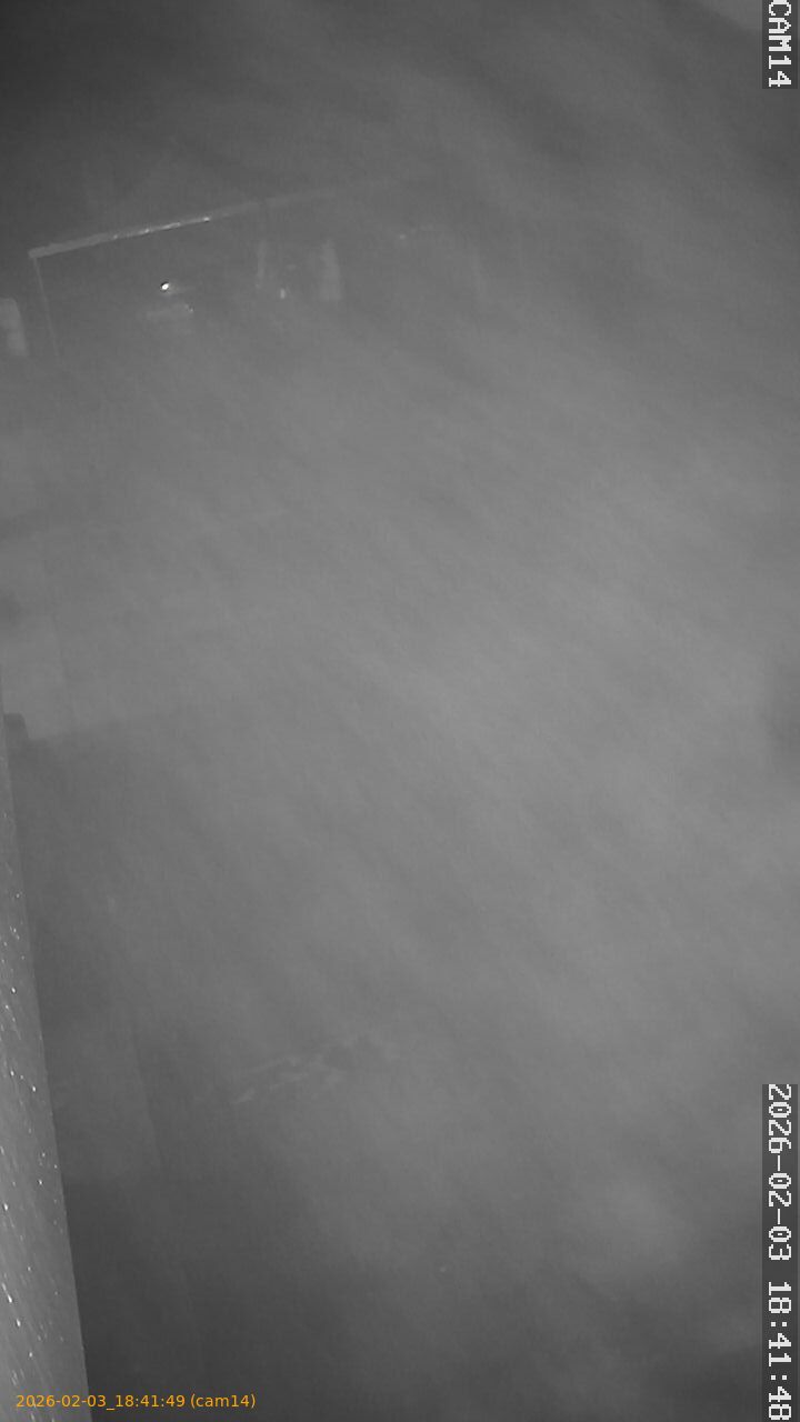 thumbnail_20260203184149