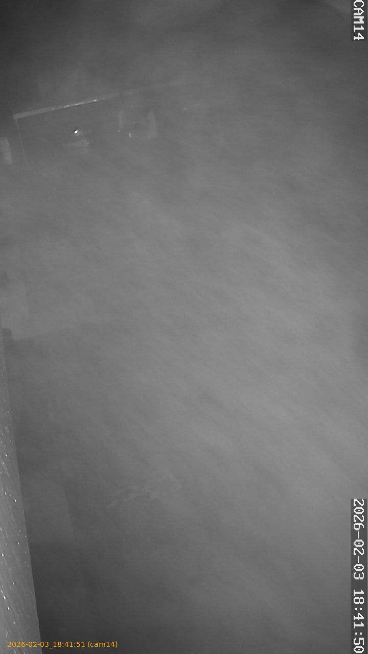 thumbnail_20260203184151