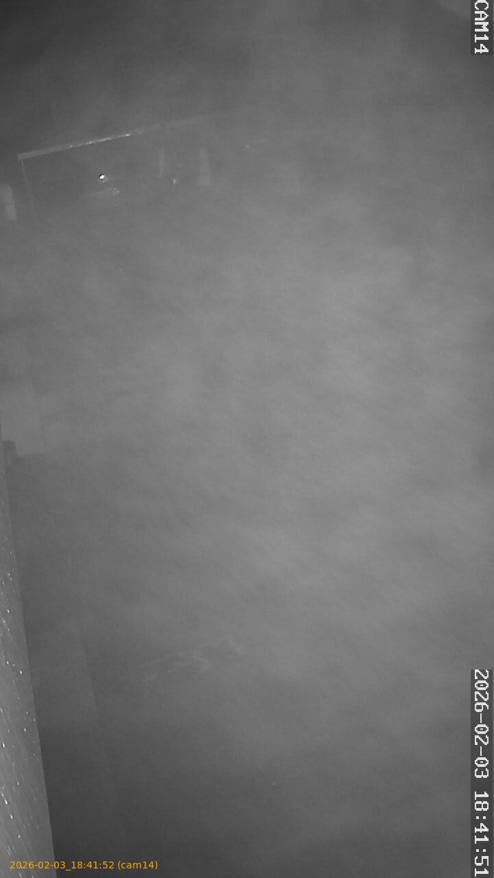 thumbnail_20260203184152