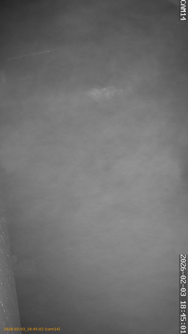 thumbnail_20260203184502