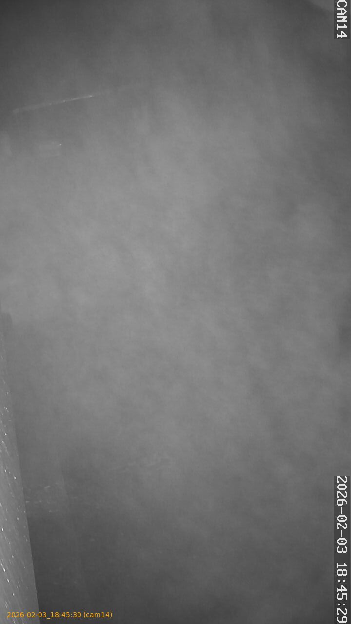 thumbnail_20260203184530