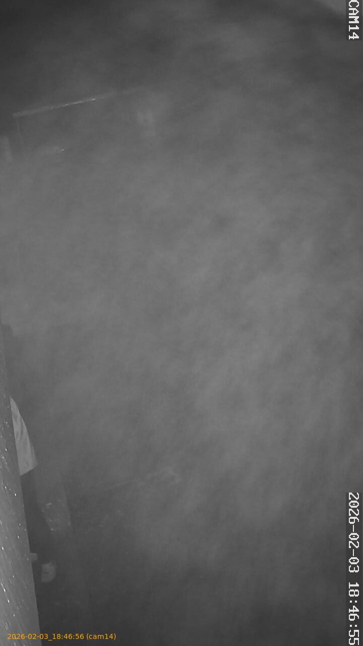 thumbnail_20260203184656