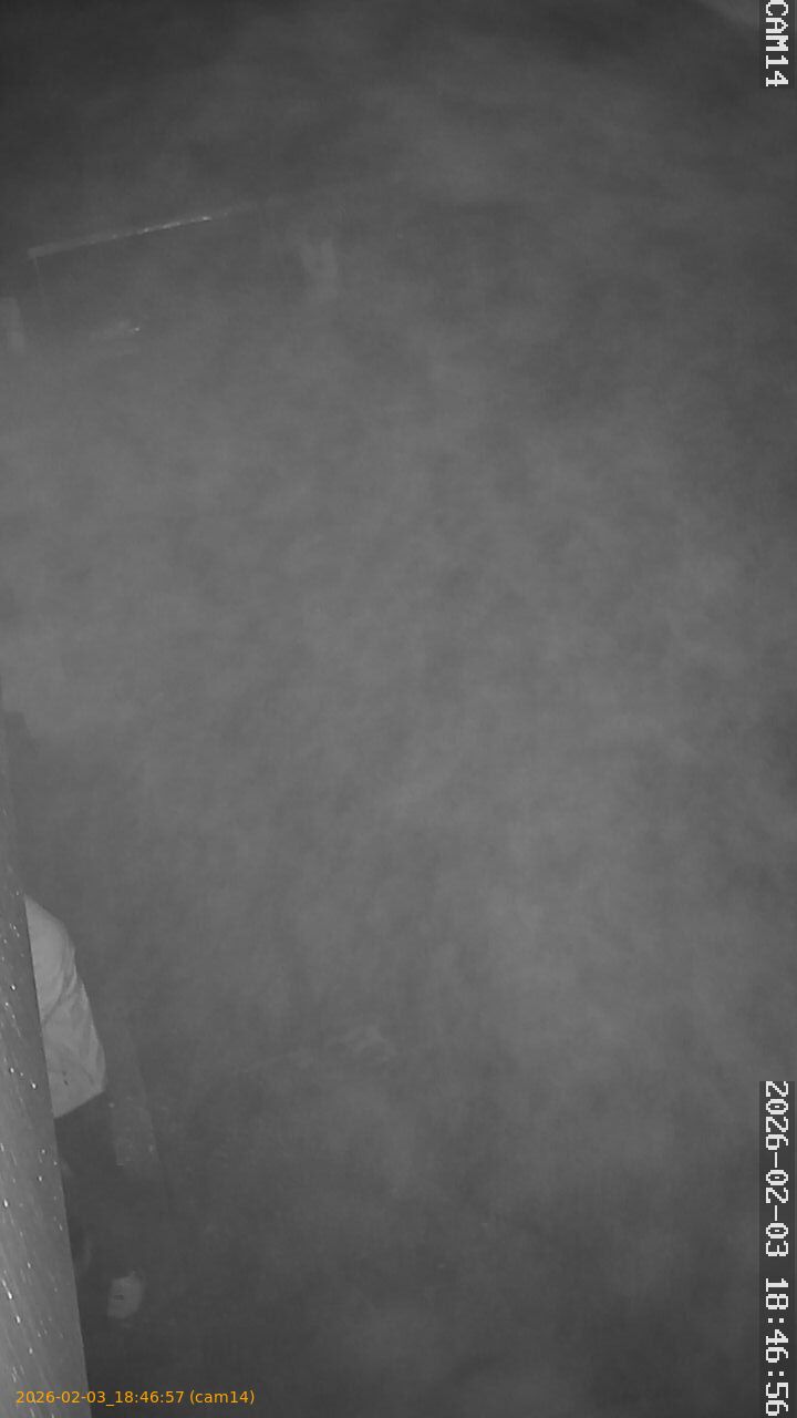 thumbnail_20260203184657