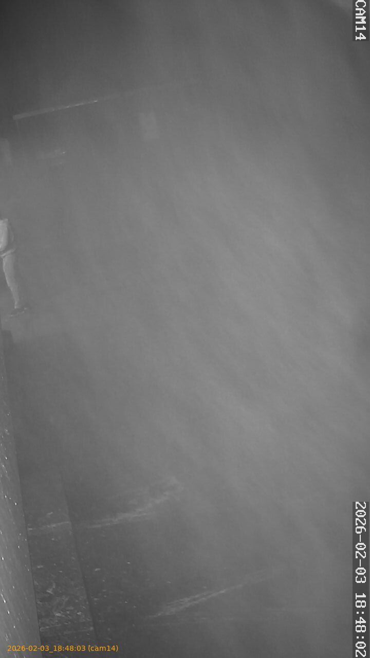 thumbnail_20260203184803