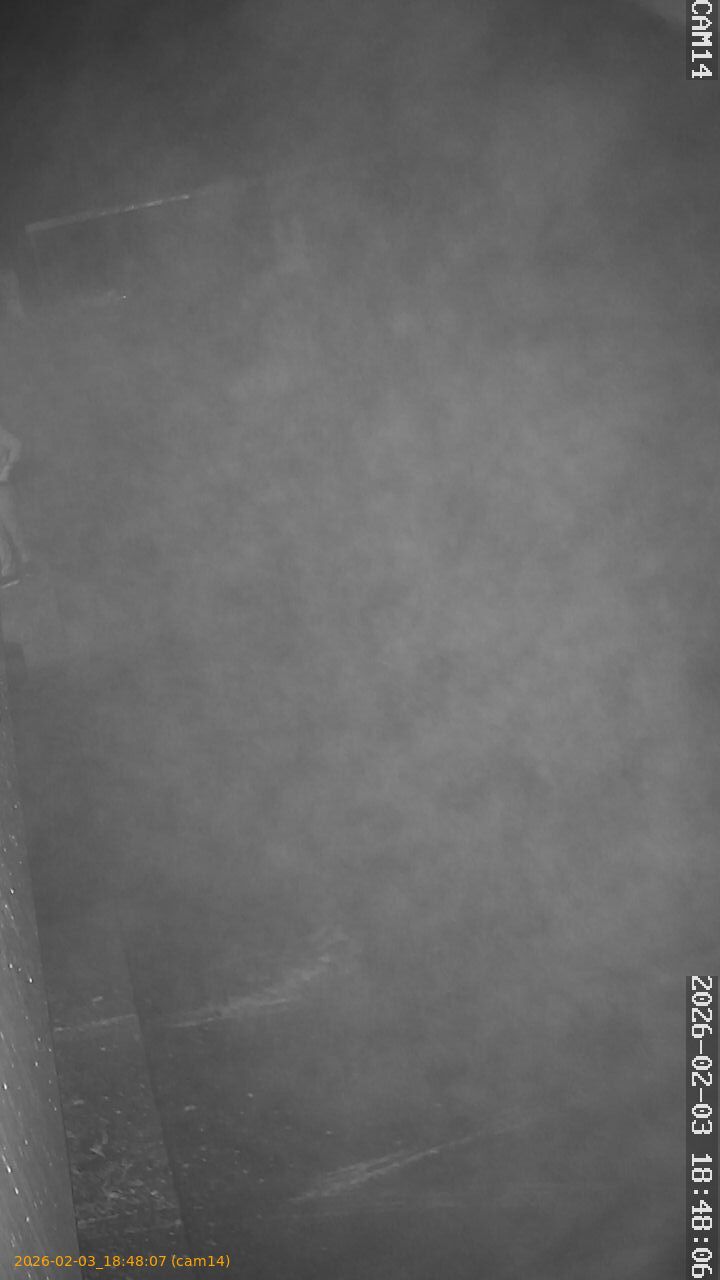 thumbnail_20260203184807