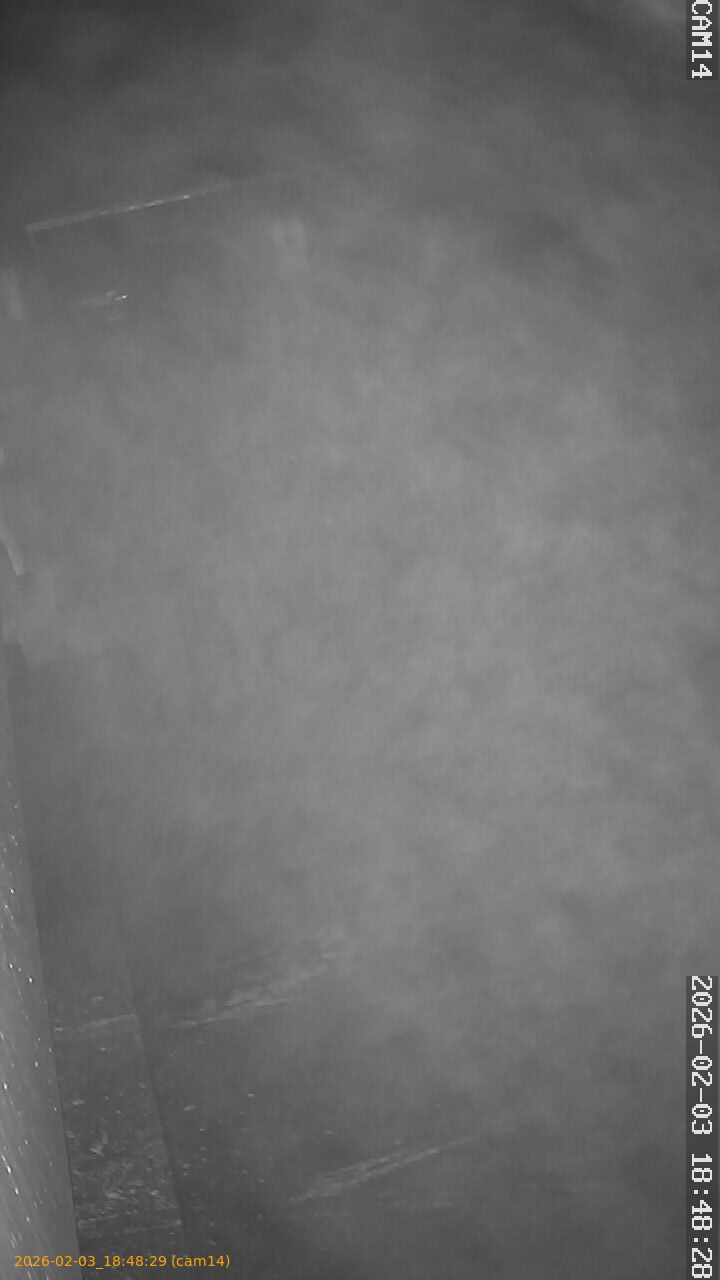 thumbnail_20260203184829