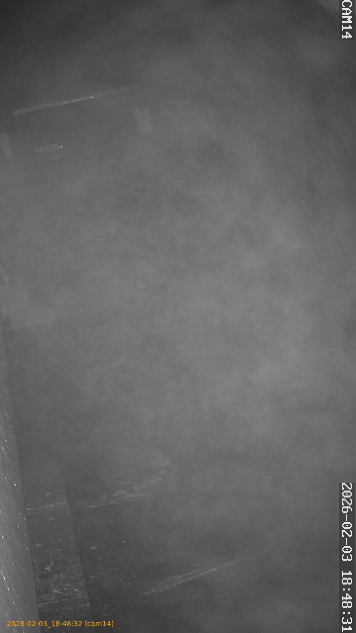 thumbnail_20260203184832