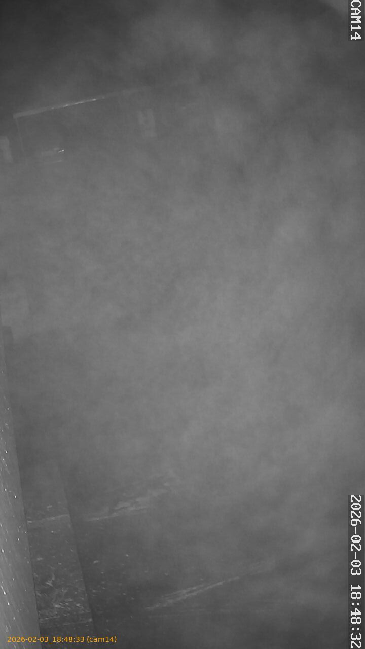 thumbnail_20260203184833