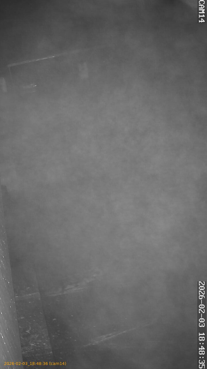 thumbnail_20260203184836