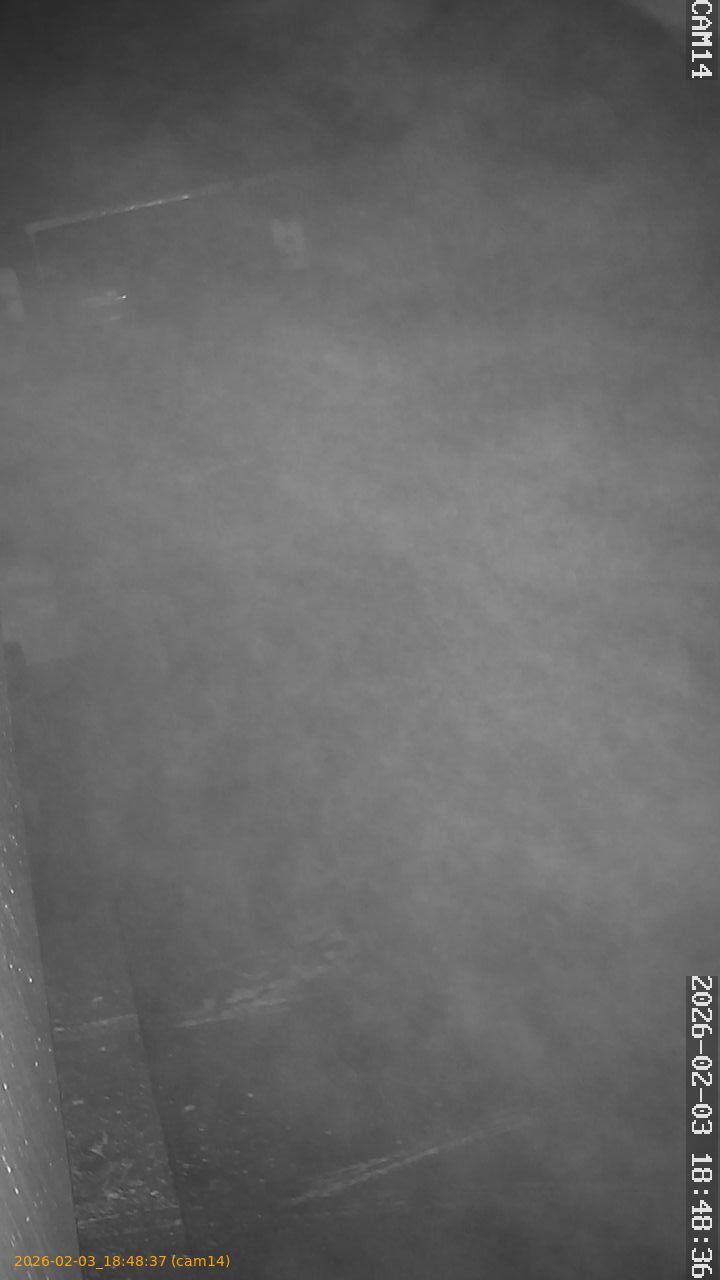 thumbnail_20260203184837