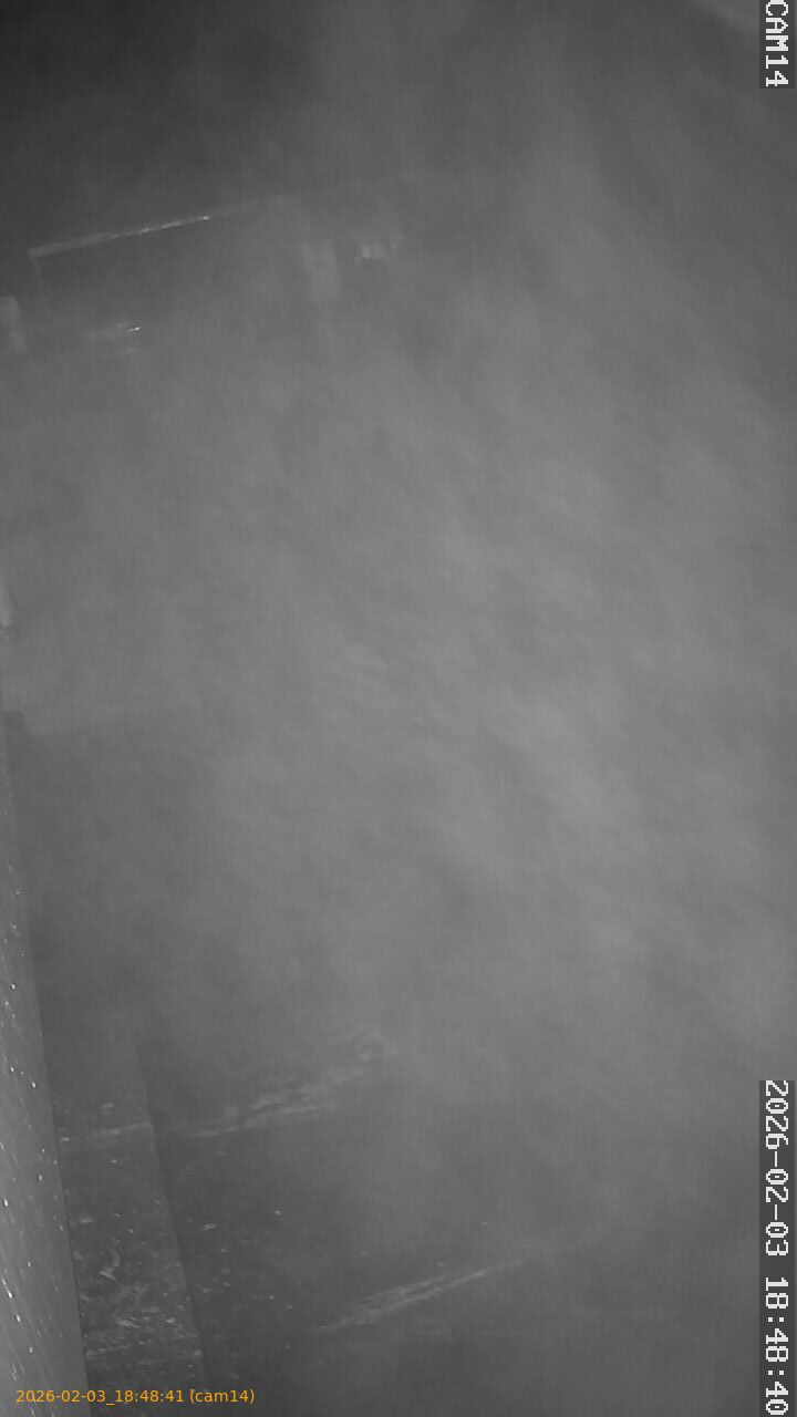 thumbnail_20260203184841