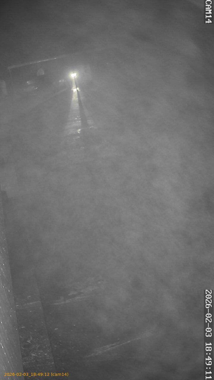 thumbnail_20260203184912