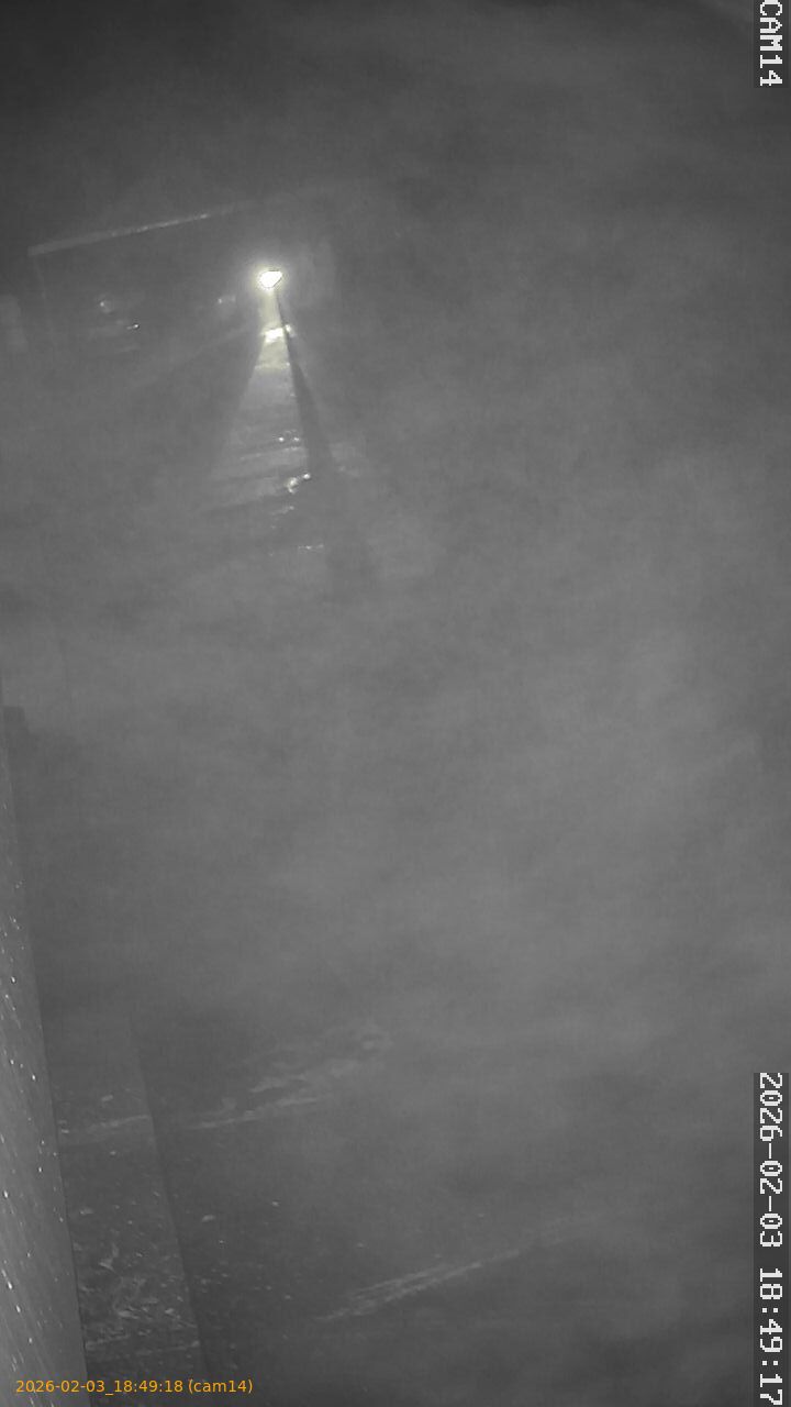 thumbnail_20260203184918