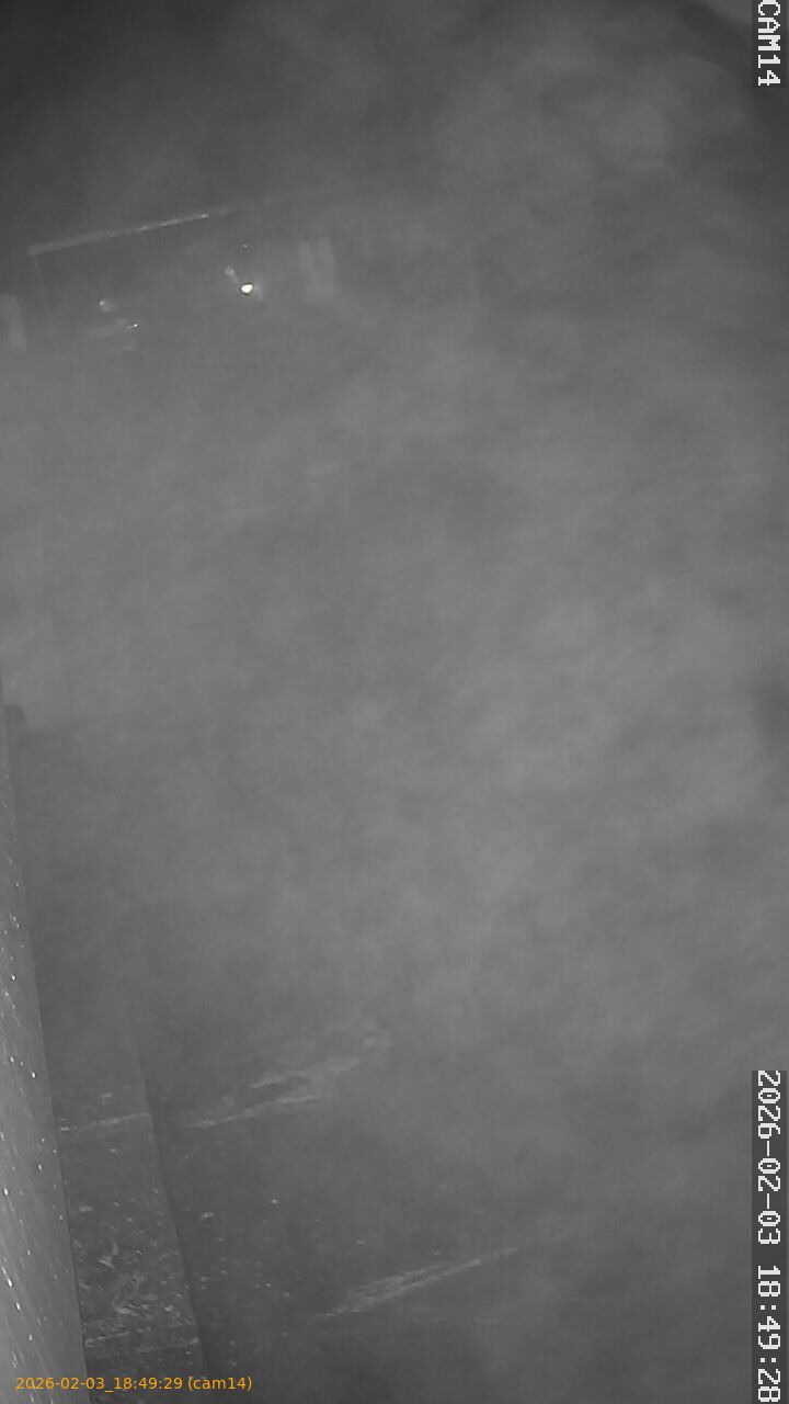 thumbnail_20260203184929