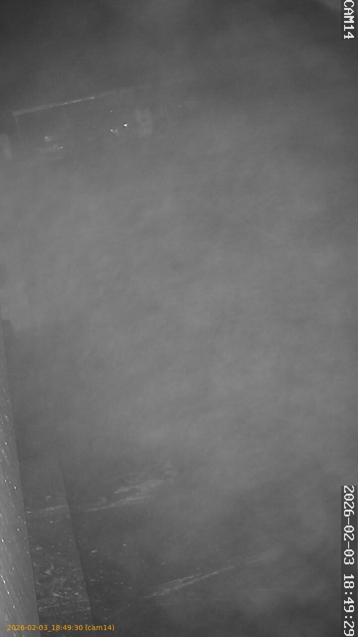 thumbnail_20260203184930