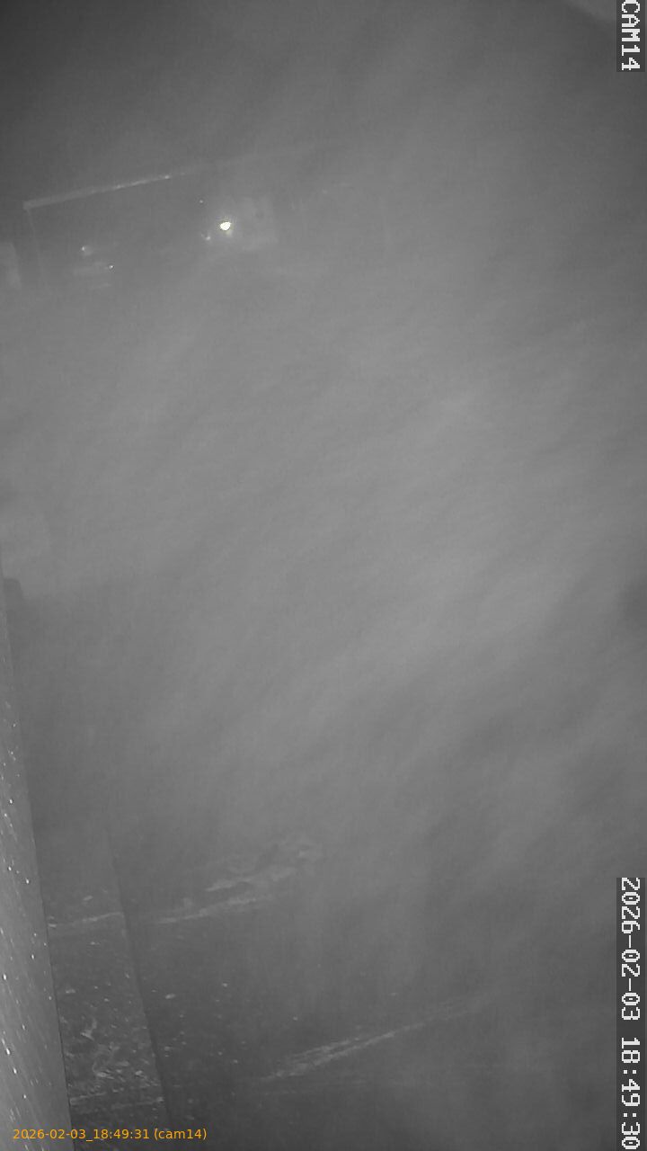 thumbnail_20260203184931