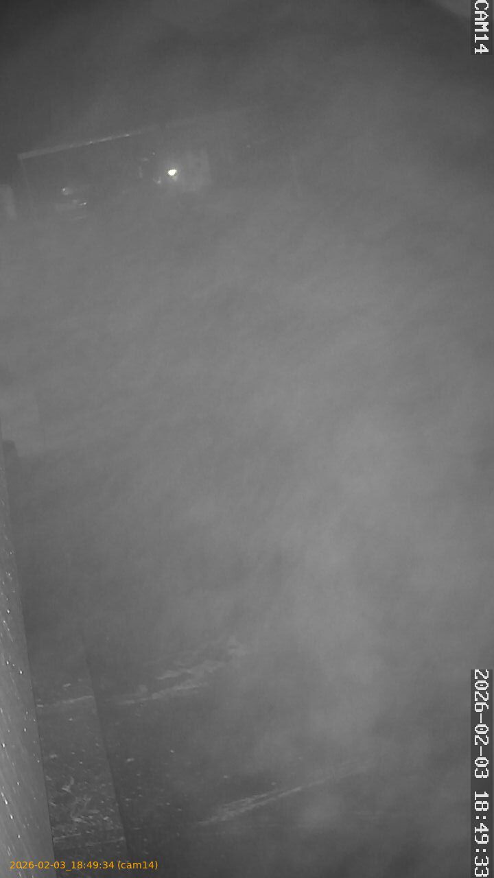 thumbnail_20260203184934