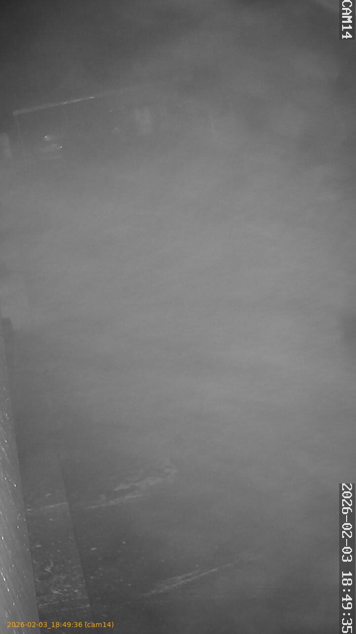 thumbnail_20260203184936