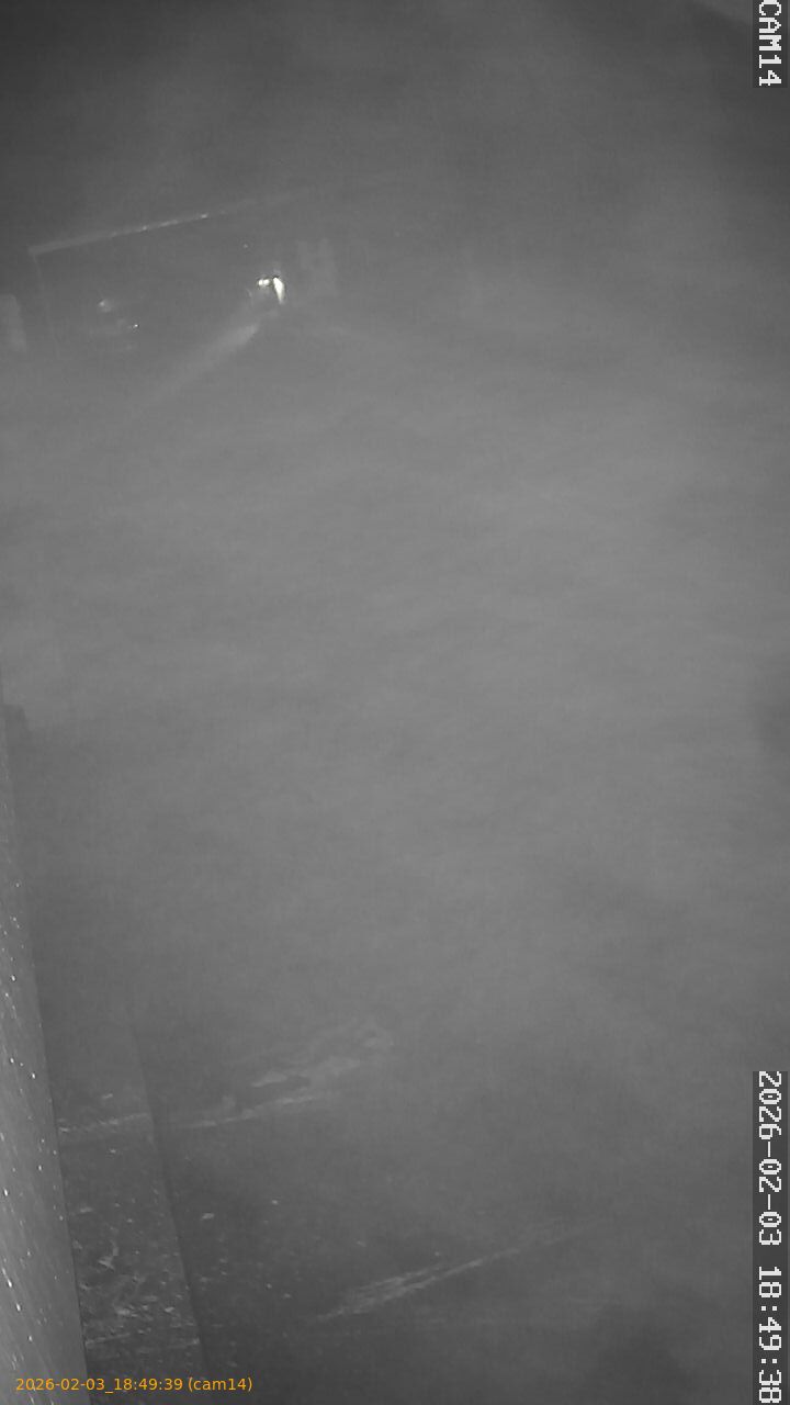 thumbnail_20260203184939