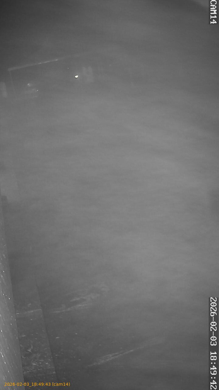 thumbnail_20260203184943