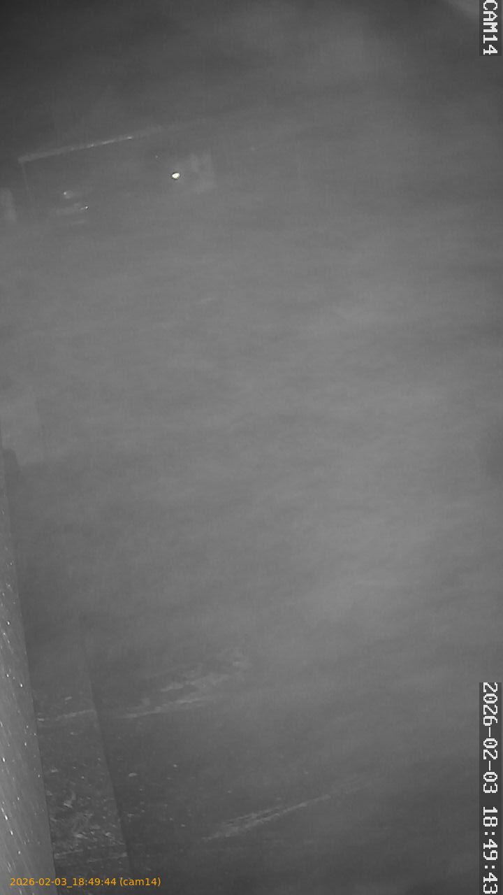 thumbnail_20260203184944