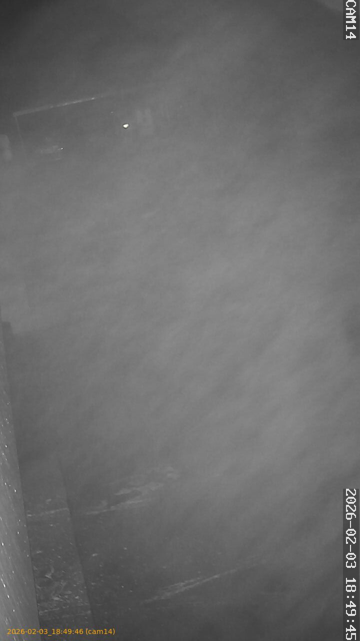 thumbnail_20260203184946