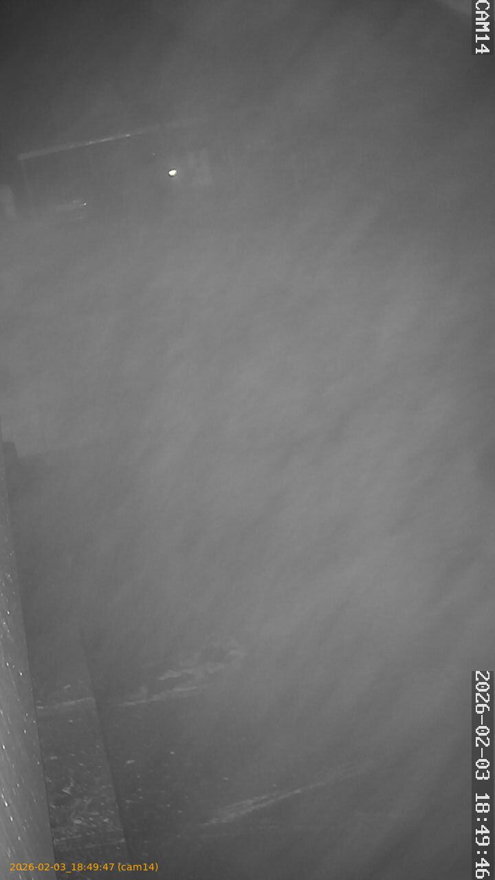 thumbnail_20260203184947