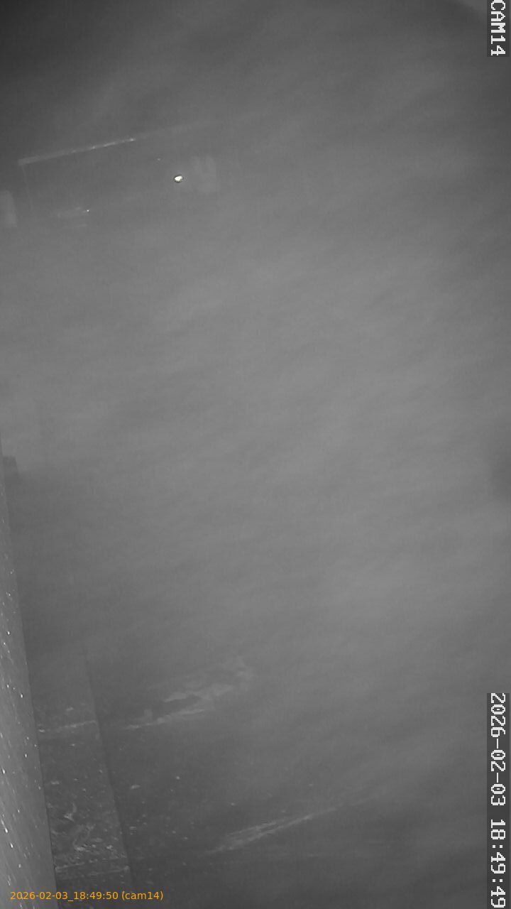 thumbnail_20260203184950