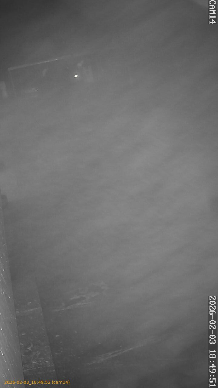 thumbnail_20260203184952