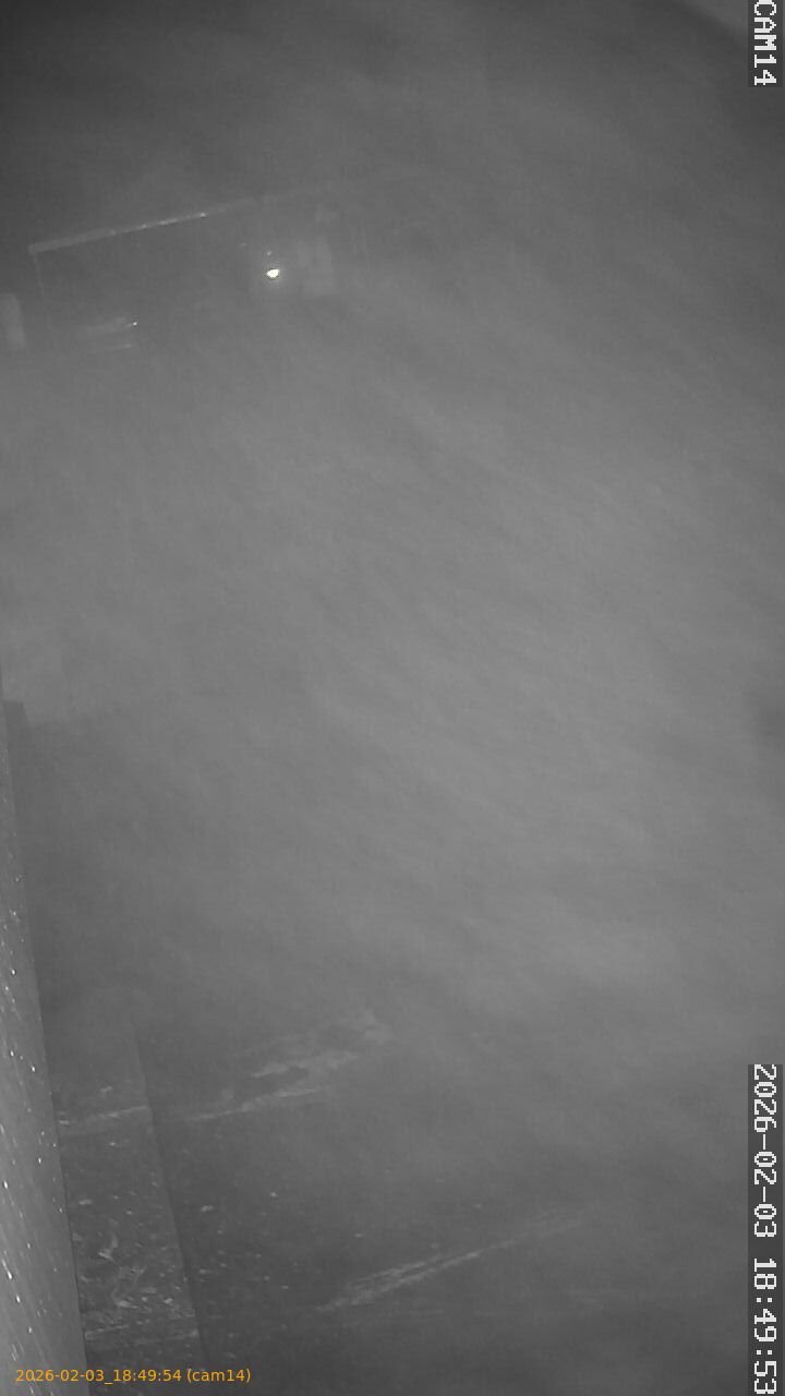 thumbnail_20260203184954