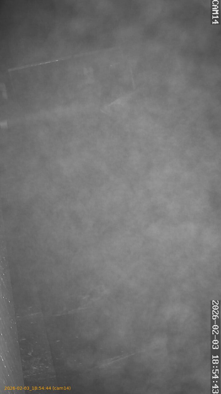 thumbnail_20260203185444