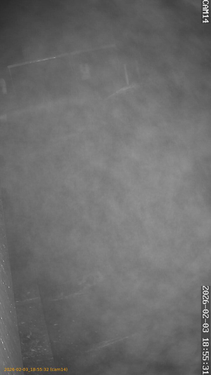 thumbnail_20260203185532