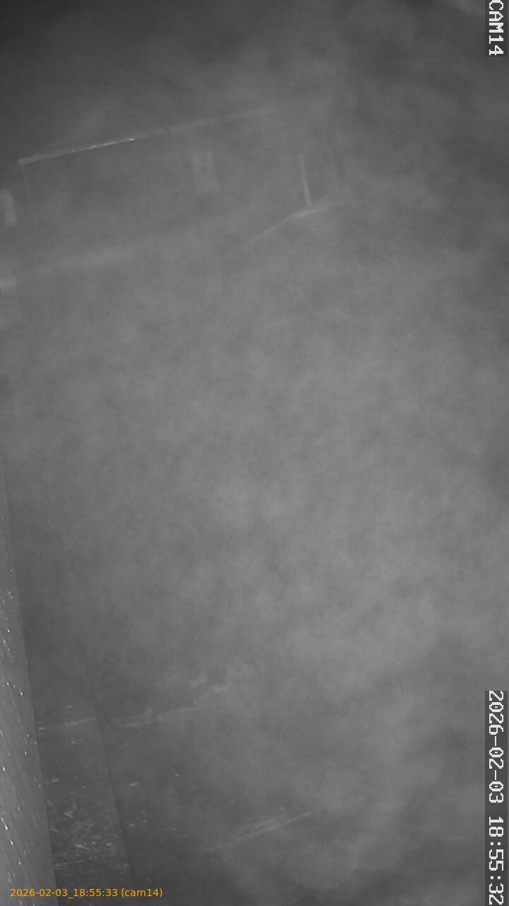 thumbnail_20260203185533