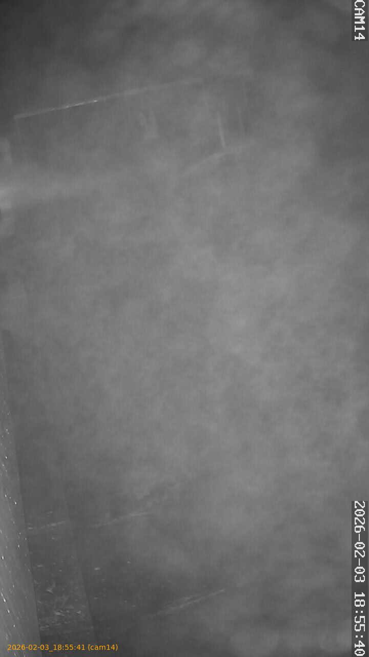 thumbnail_20260203185541