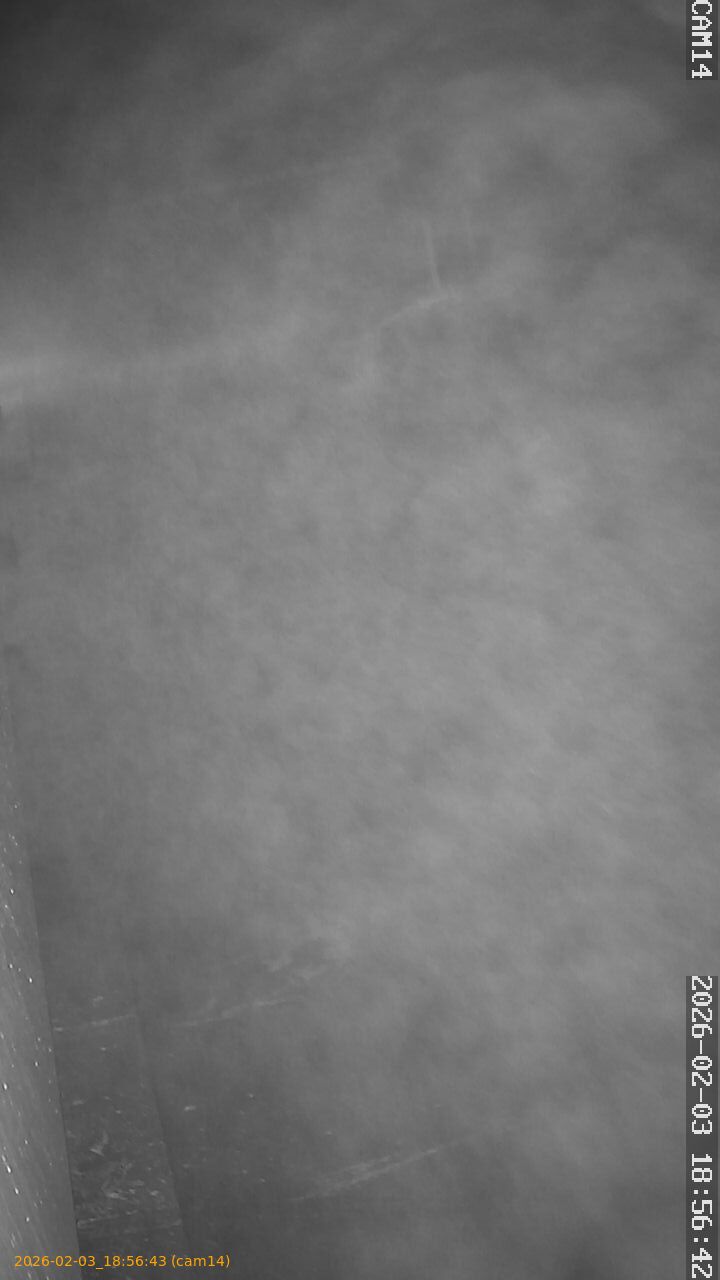 thumbnail_20260203185643