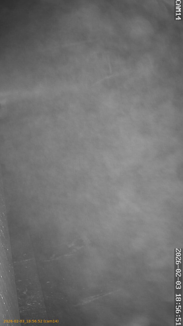 thumbnail_20260203185652