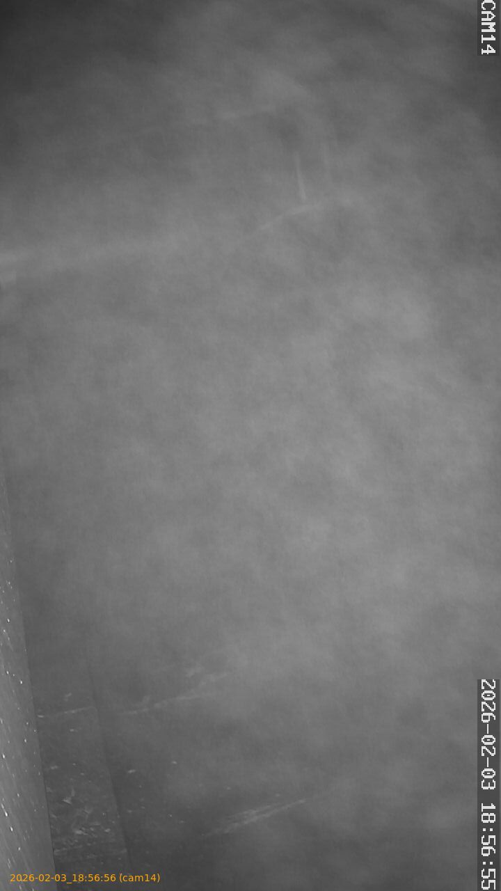 thumbnail_20260203185656