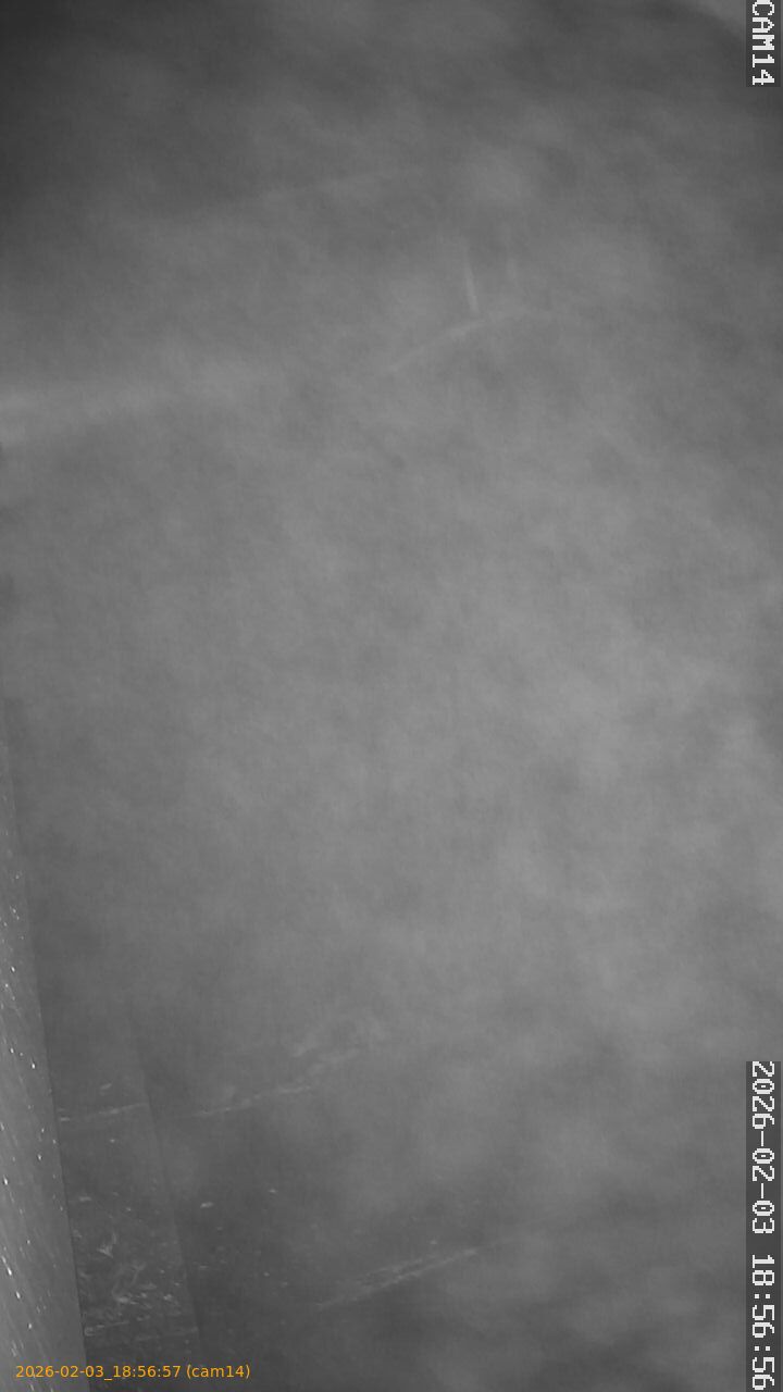 thumbnail_20260203185657