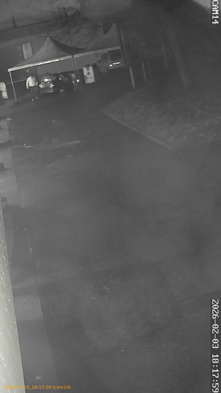 thumbnail_202602031817